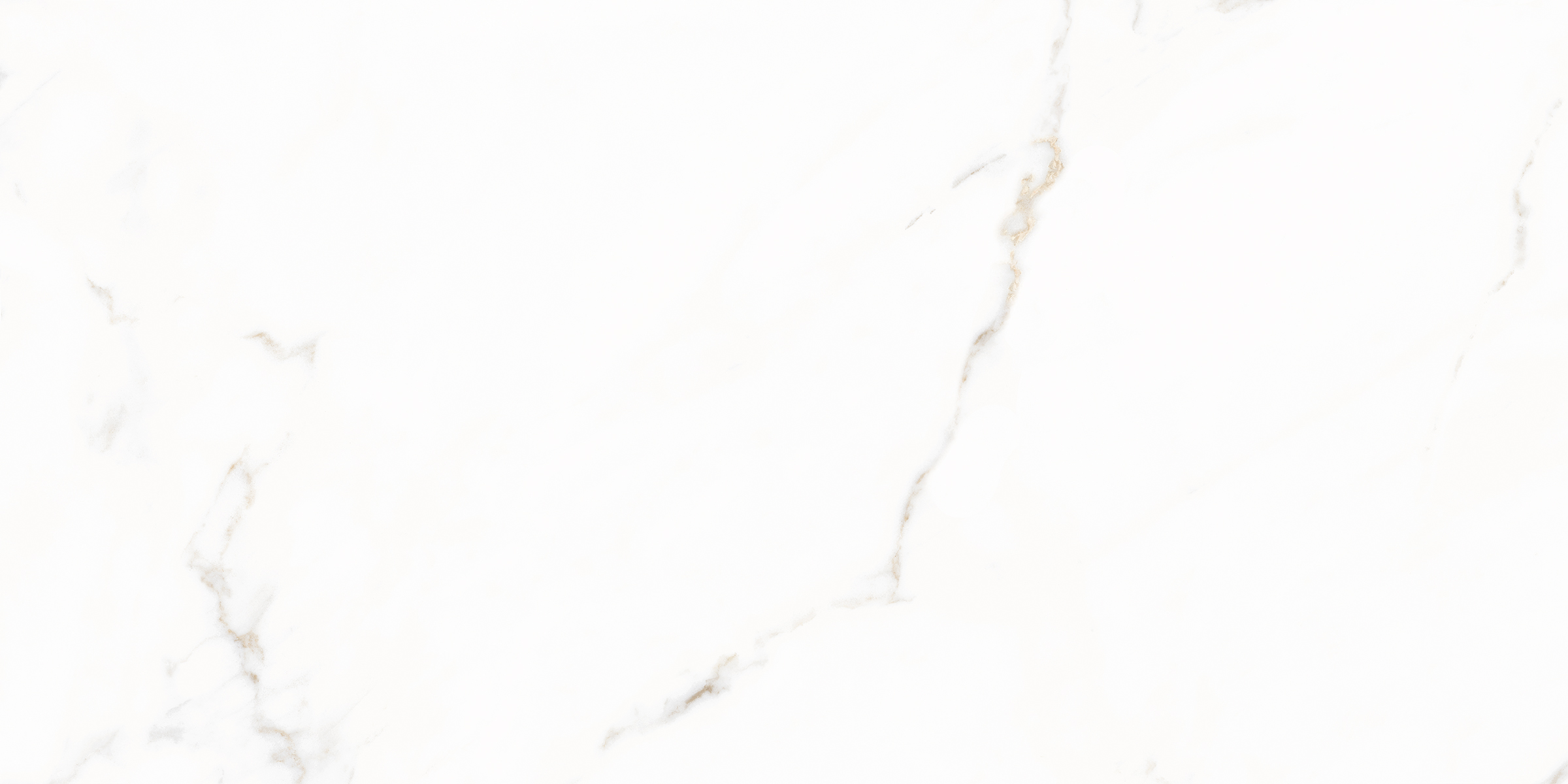 VERA gepolijst 60x120 cm