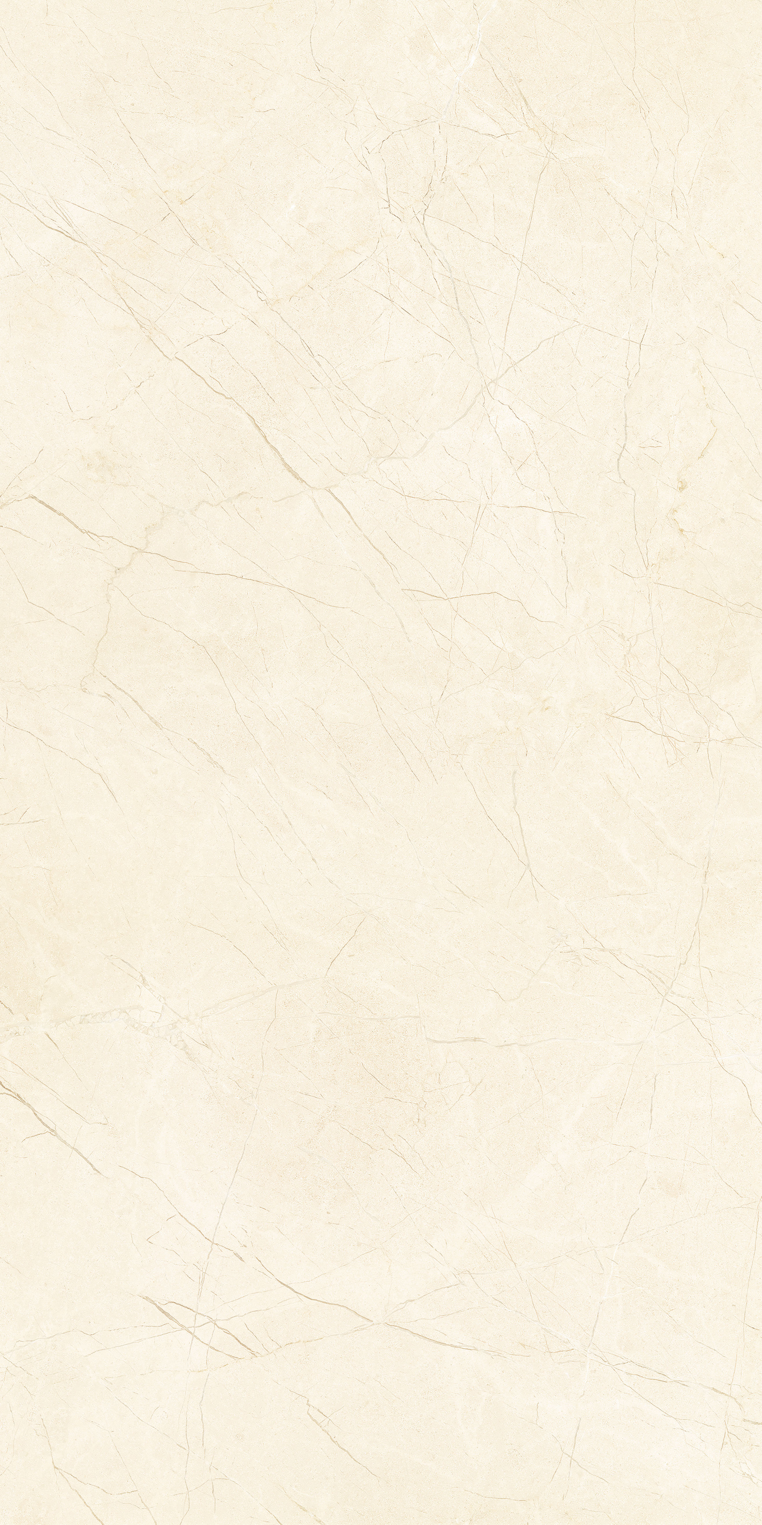 MOOD IVORY gepolijst 60x120 cm