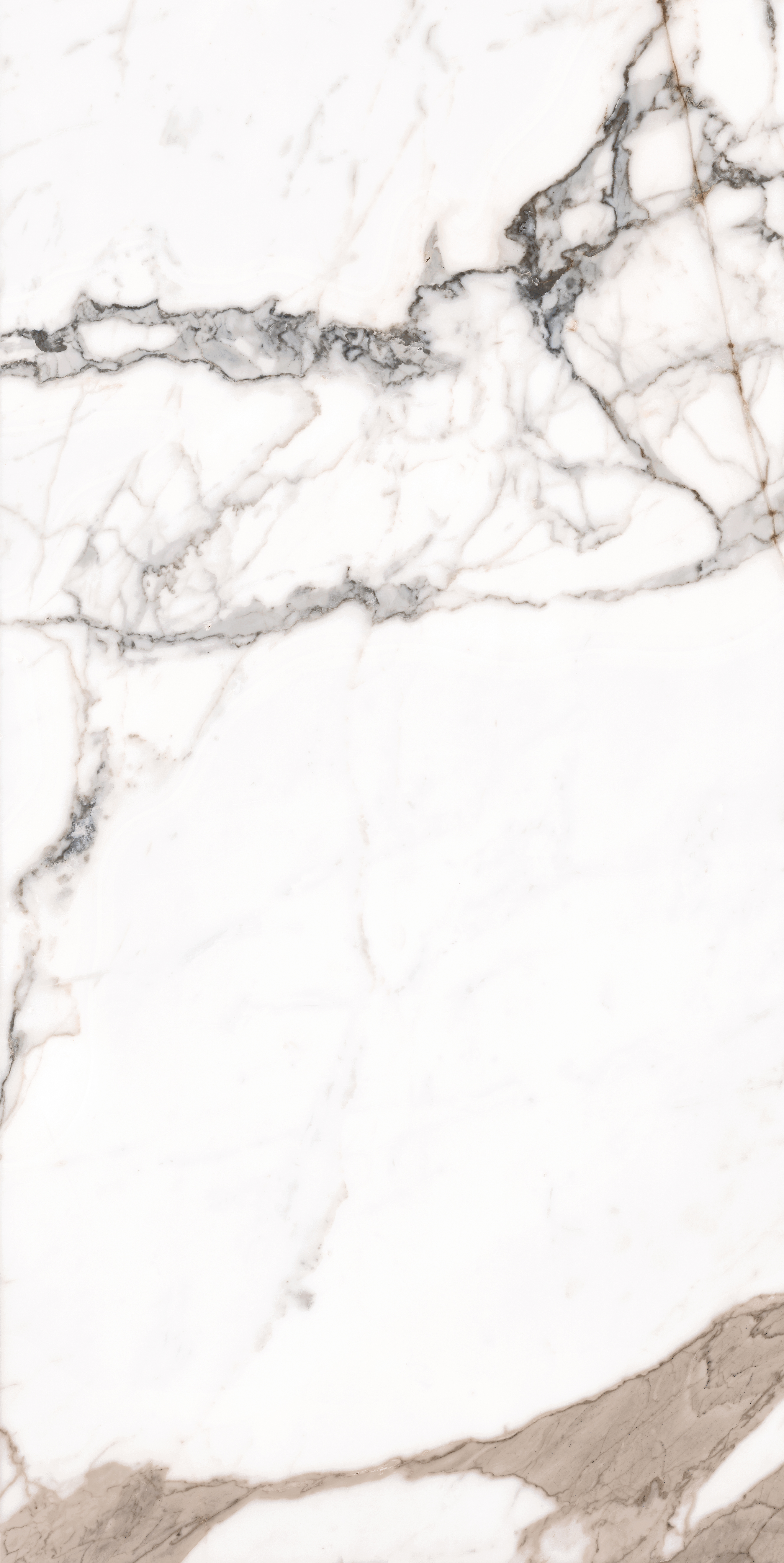PAONAZZO gepolijst 60x120 cm
