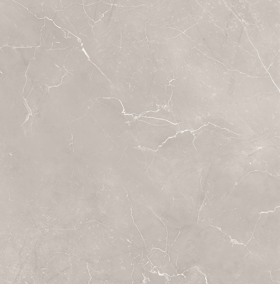 PICKET DOVE, 60x60, gepolijst