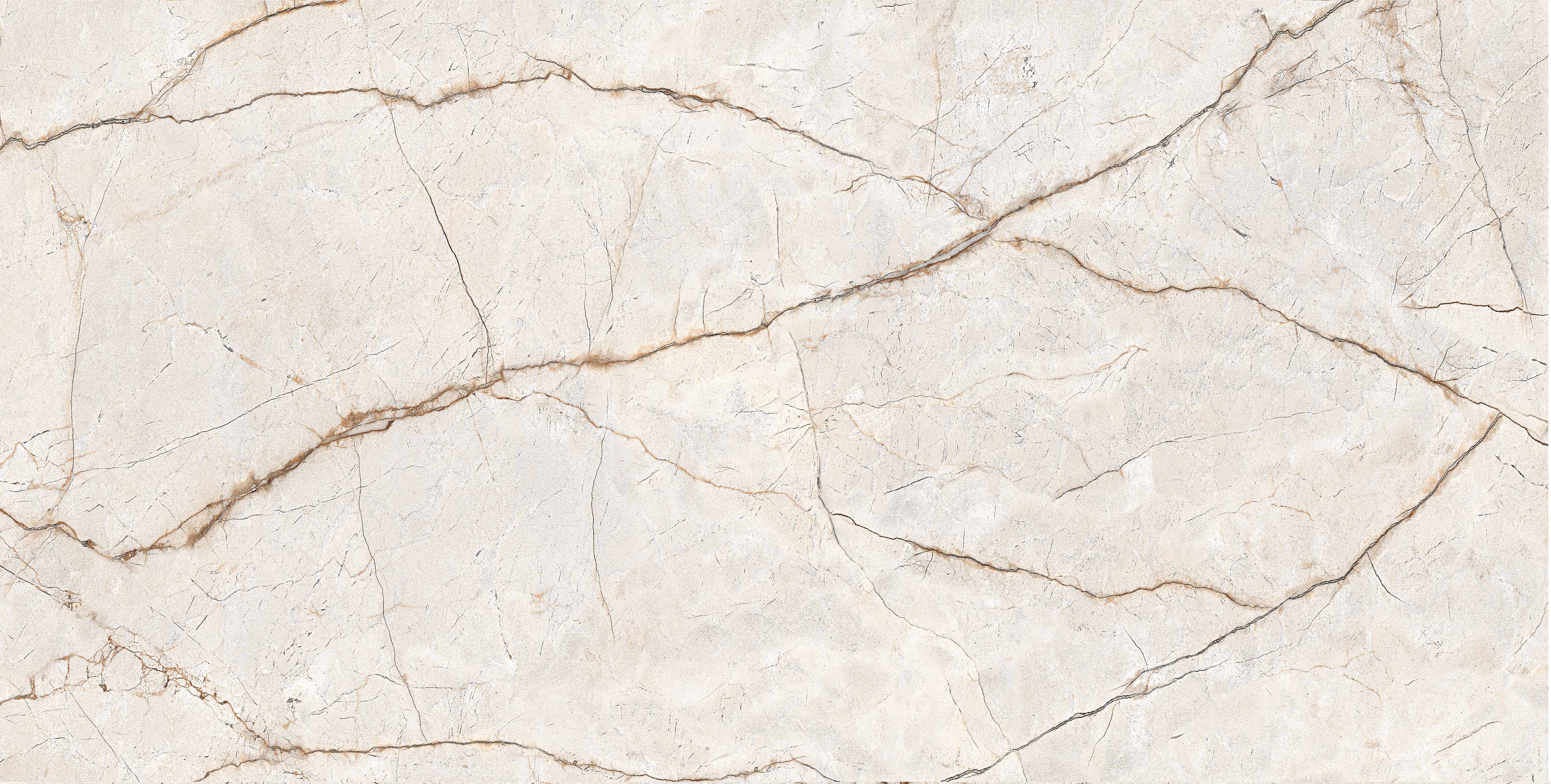 RADICE gepolijst 60x120 cm