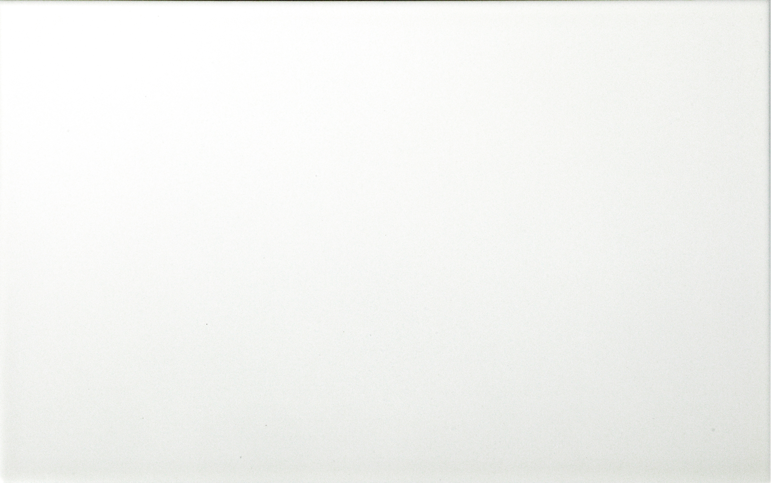 Muurplaat wit mat 25x40 cm