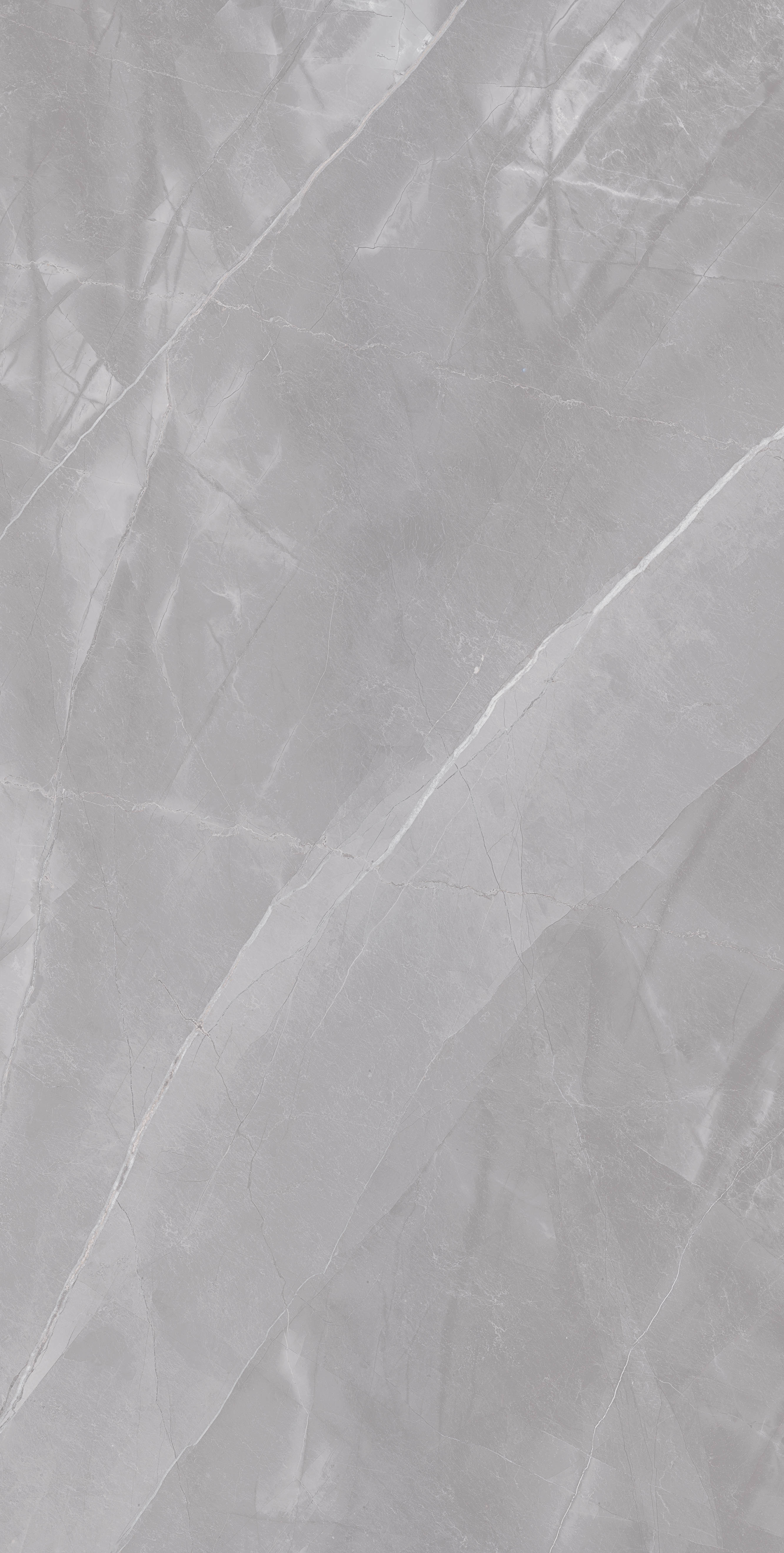 SPACE grijs gepolijst 60x120 cm